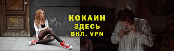 метадон Алексин