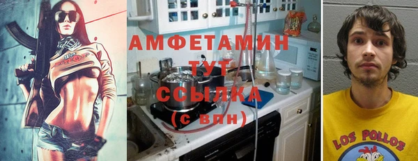 метадон Алексин